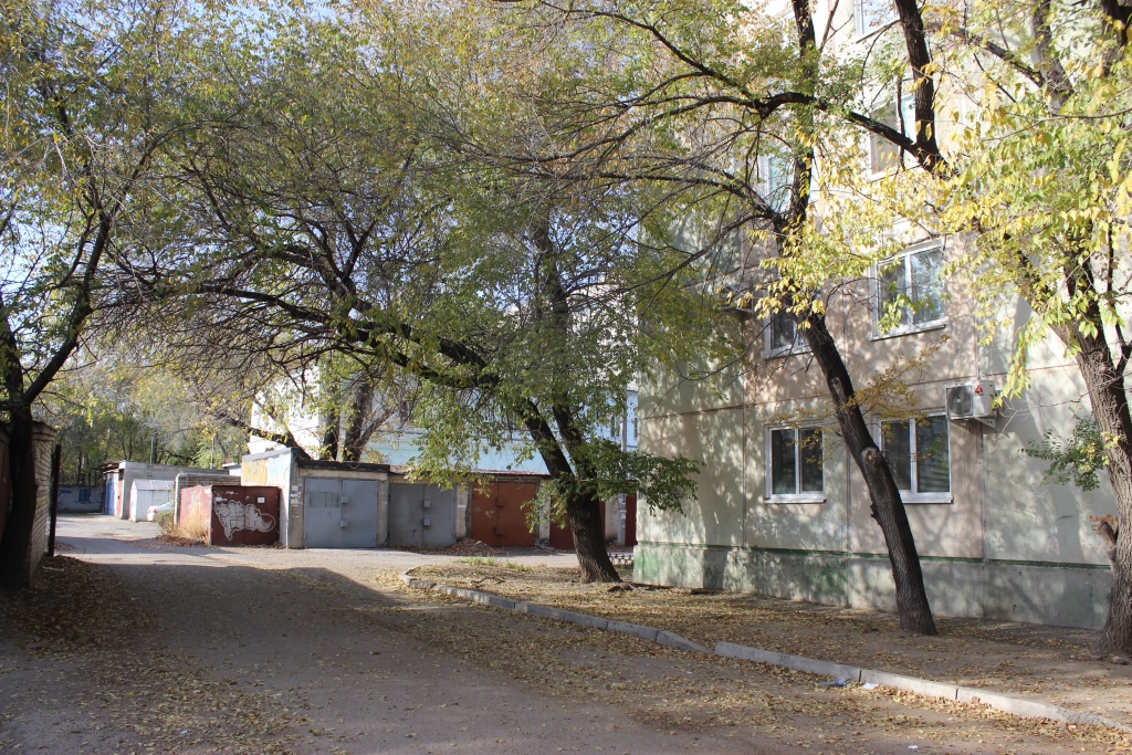 обл. Амурская, г. Благовещенск, ул. Шимановского, д. 36-фасад здания