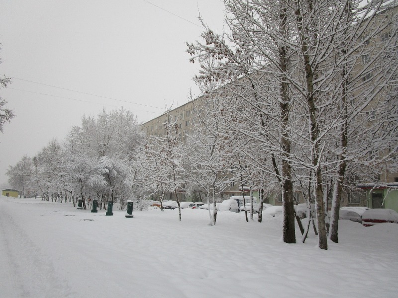 г. Москва, б-р. Ореховый, д. 10, к. 1-фасад здания