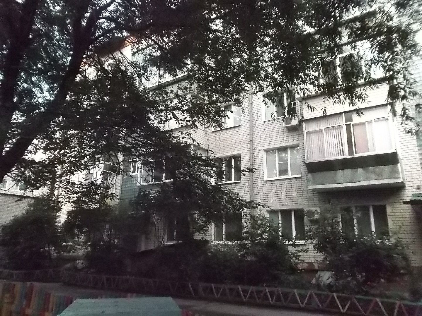 обл. Амурская, г. Благовещенск, ул. Шимановского, д. 40-фасад здания