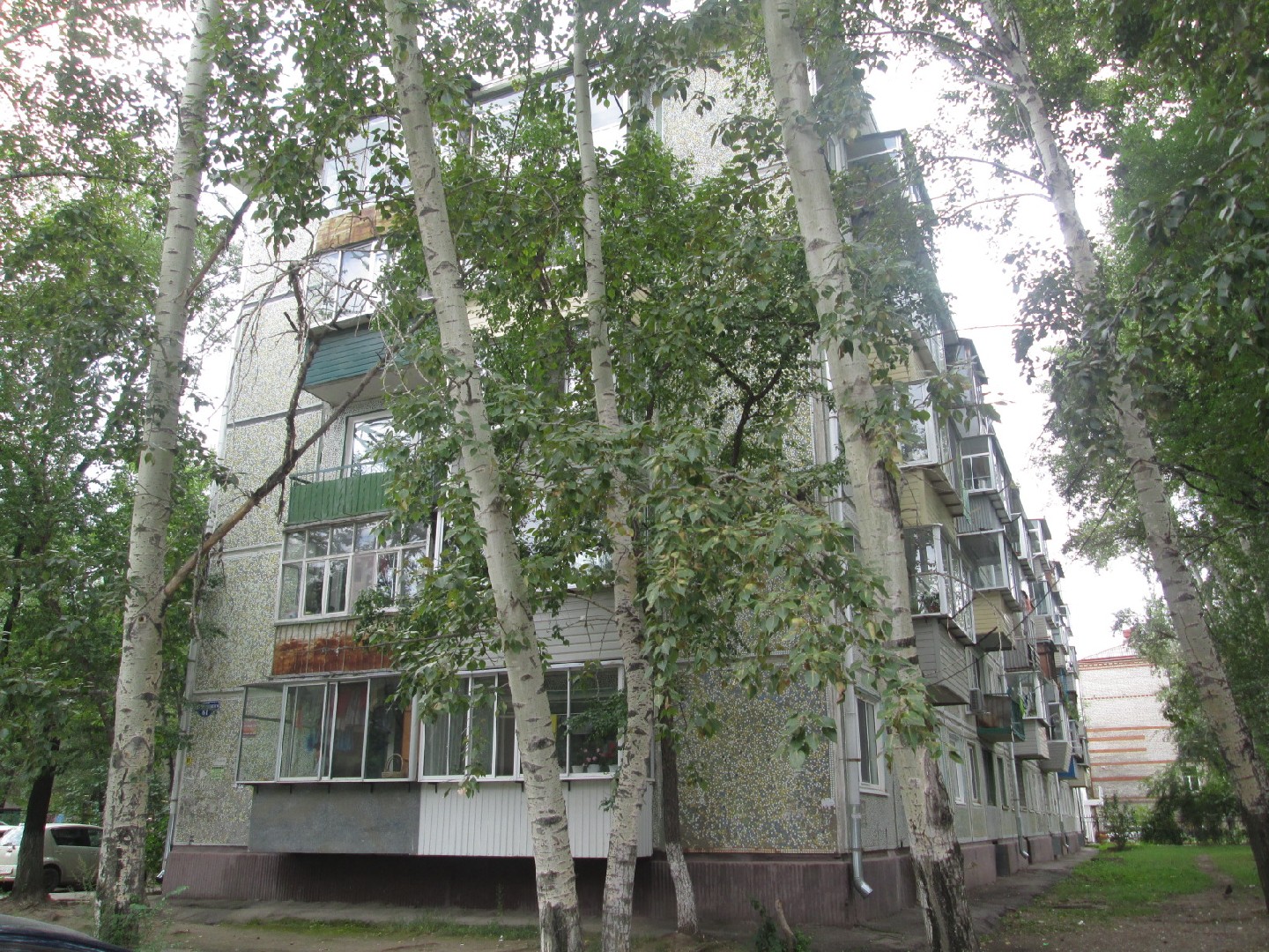 обл. Амурская, г. Благовещенск, ул. Шимановского, д. 61-фасад здания