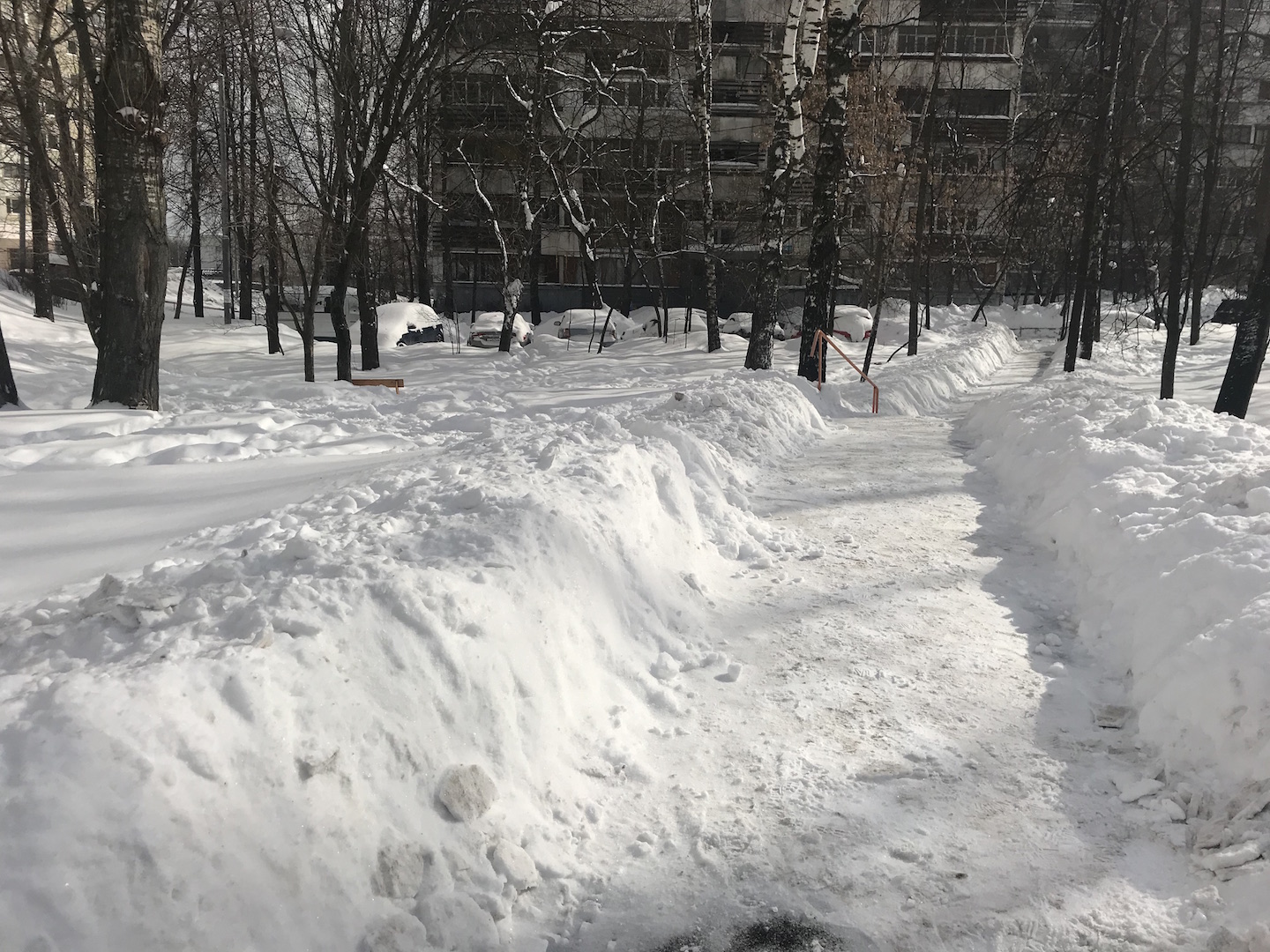 г. Москва, ул. Островитянова, д. 51-придомовая территория