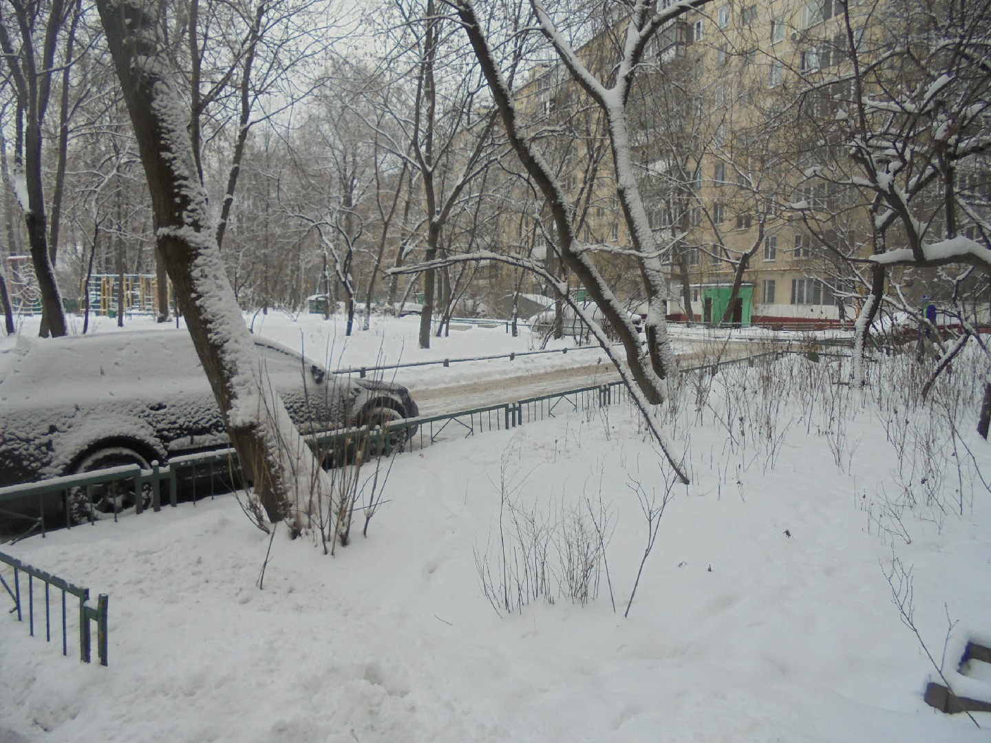 г. Москва, ул. Палехская, д. 15-придомовая территория