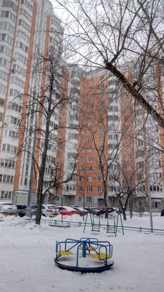 г. Москва, ул. Парковая 13-я, д. 40-придомовая территория