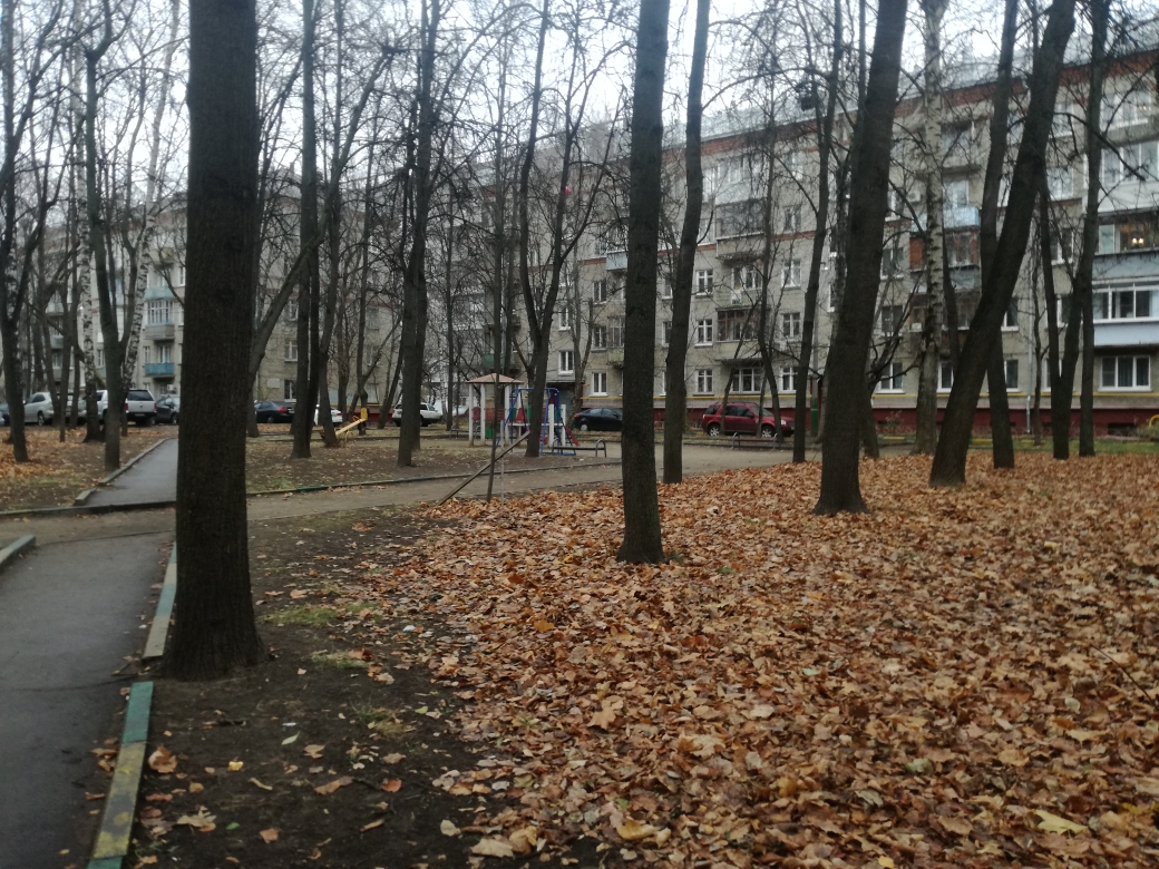 г. Москва, ул. Первомайская Верхн., д. 59/35, к. 1-придомовая территория