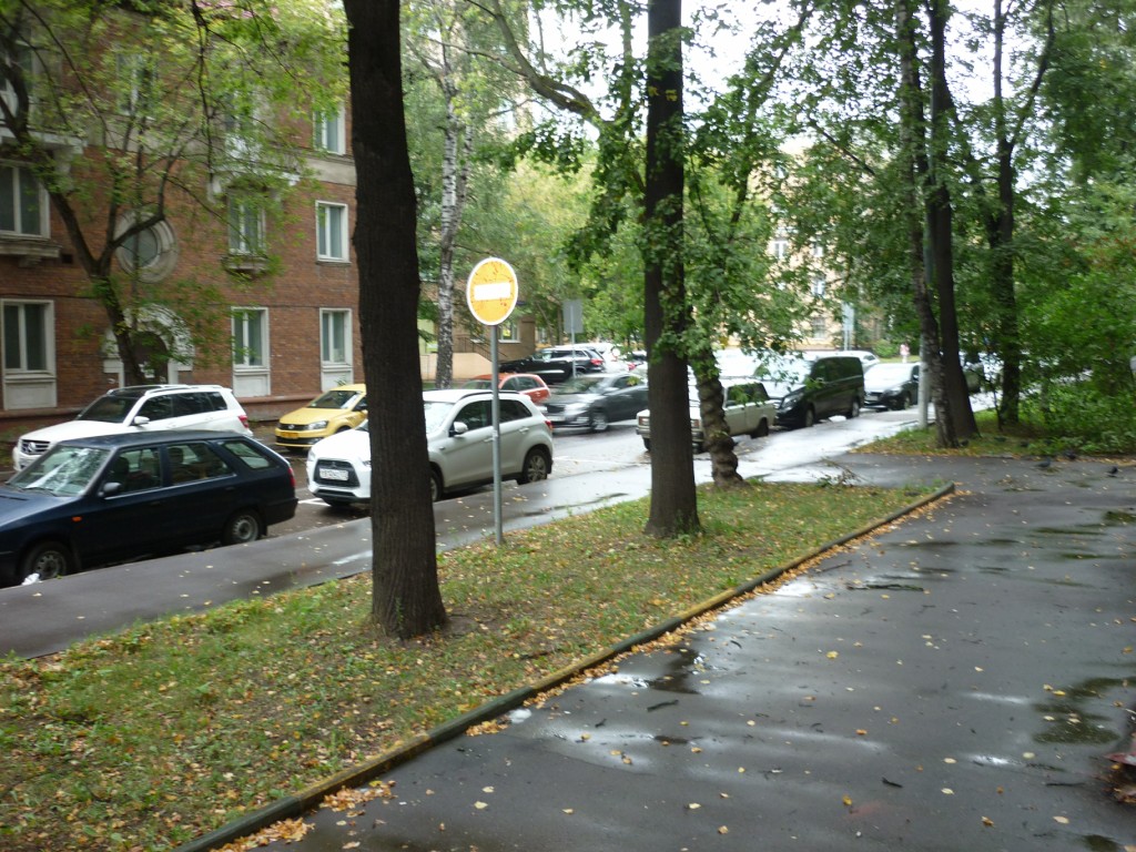 г. Москва, ул. Первомайская Нижн., д. 1-придомовая территория