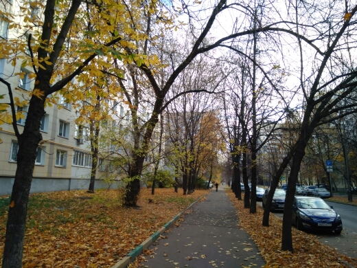 г. Москва, ул. Первомайская Нижн., д. 29-придомовая территория