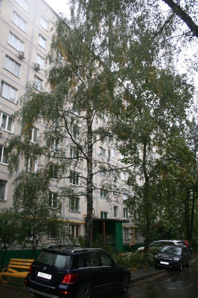 г. Москва, ул. Петрозаводская, д. 5, к. 4-фасад здания