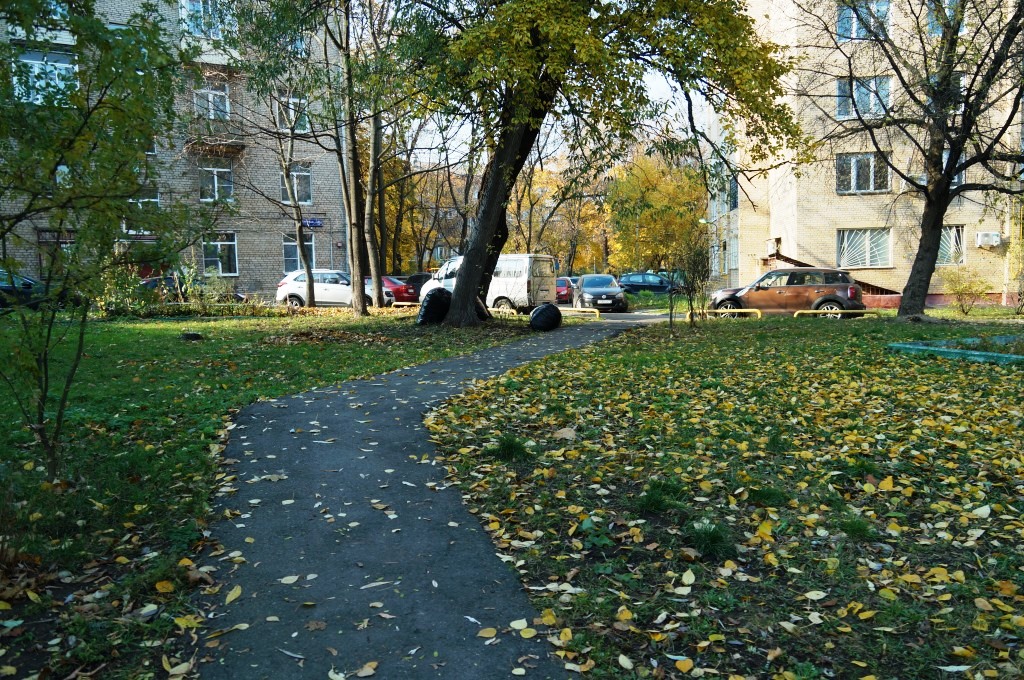 г. Москва, ул. Планетная, д. 11-придомовая территория