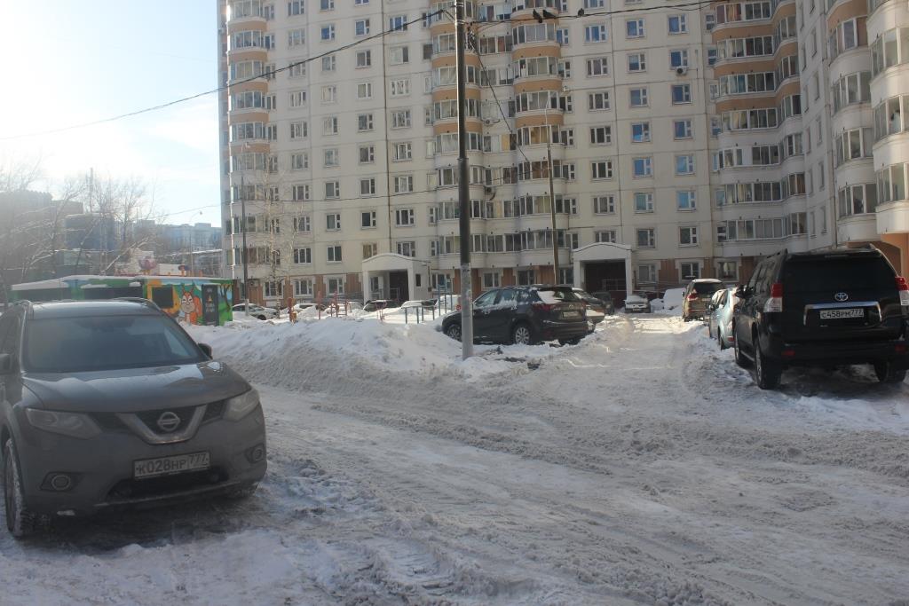 г. Москва, ул. Плеханова, д. 29, к. 1-придомовая территория