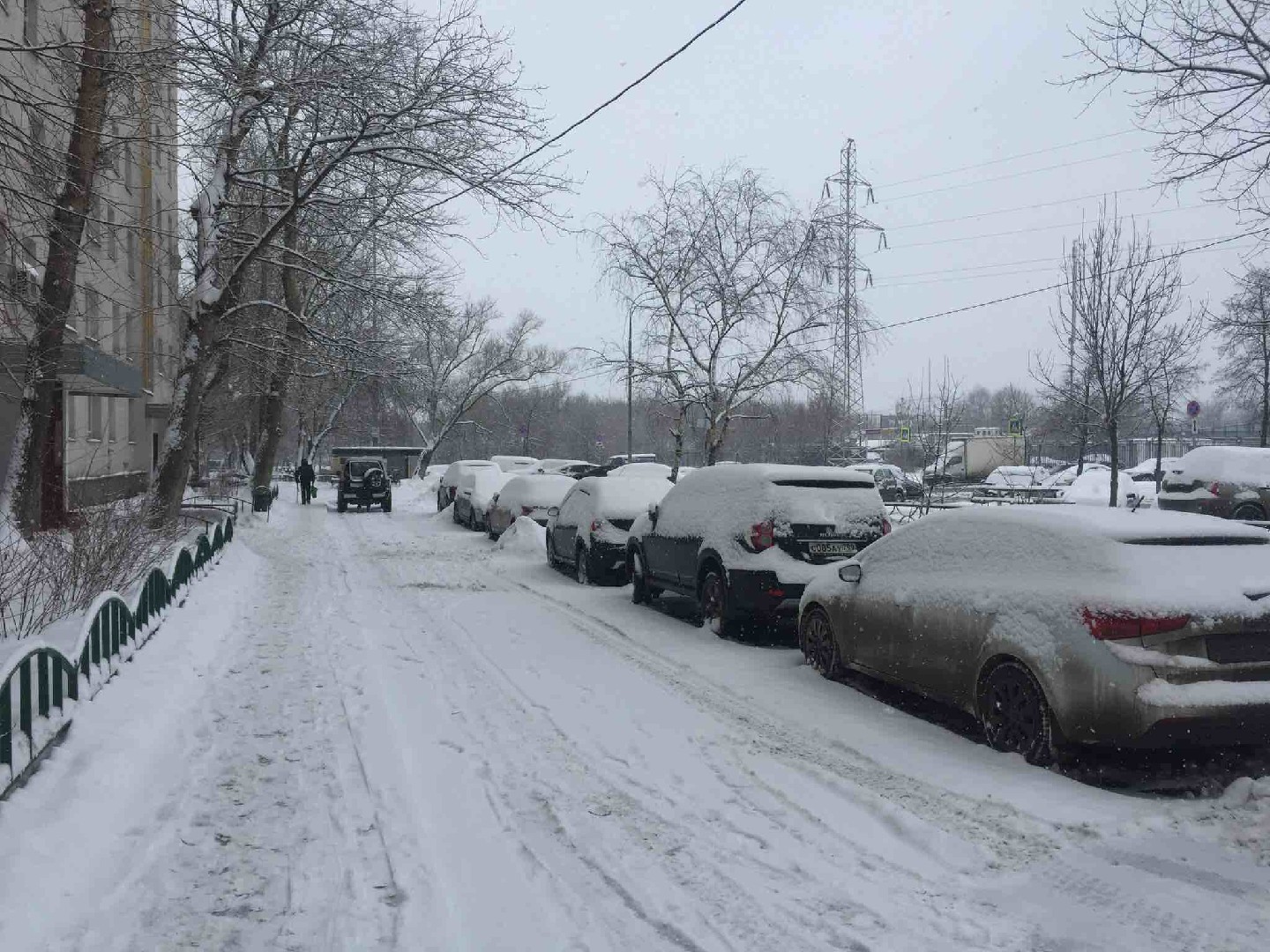 г. Москва, ул. Подольская, д. 1-придомовая территория