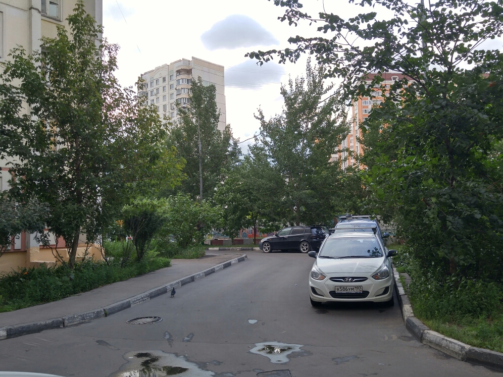 г. Москва, ул. Полины Осипенко, д. 18, к. 1-придомовая территория