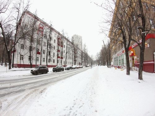 г. Москва, ул. Расплетина, д. 17-придомовая территория