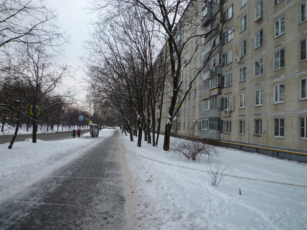 г. Москва, ул. Реутовская, д. 16-придомовая территория