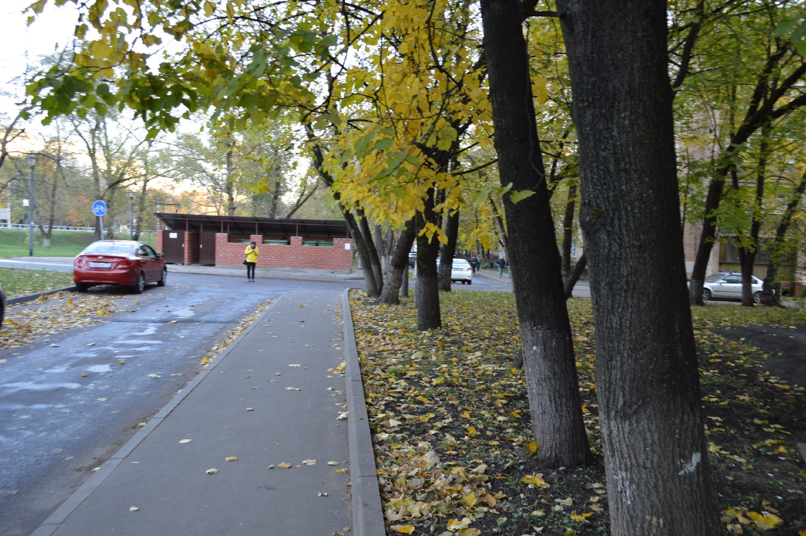 г. Москва, пр-кт. Рязанский, д. 60-придомовая территория