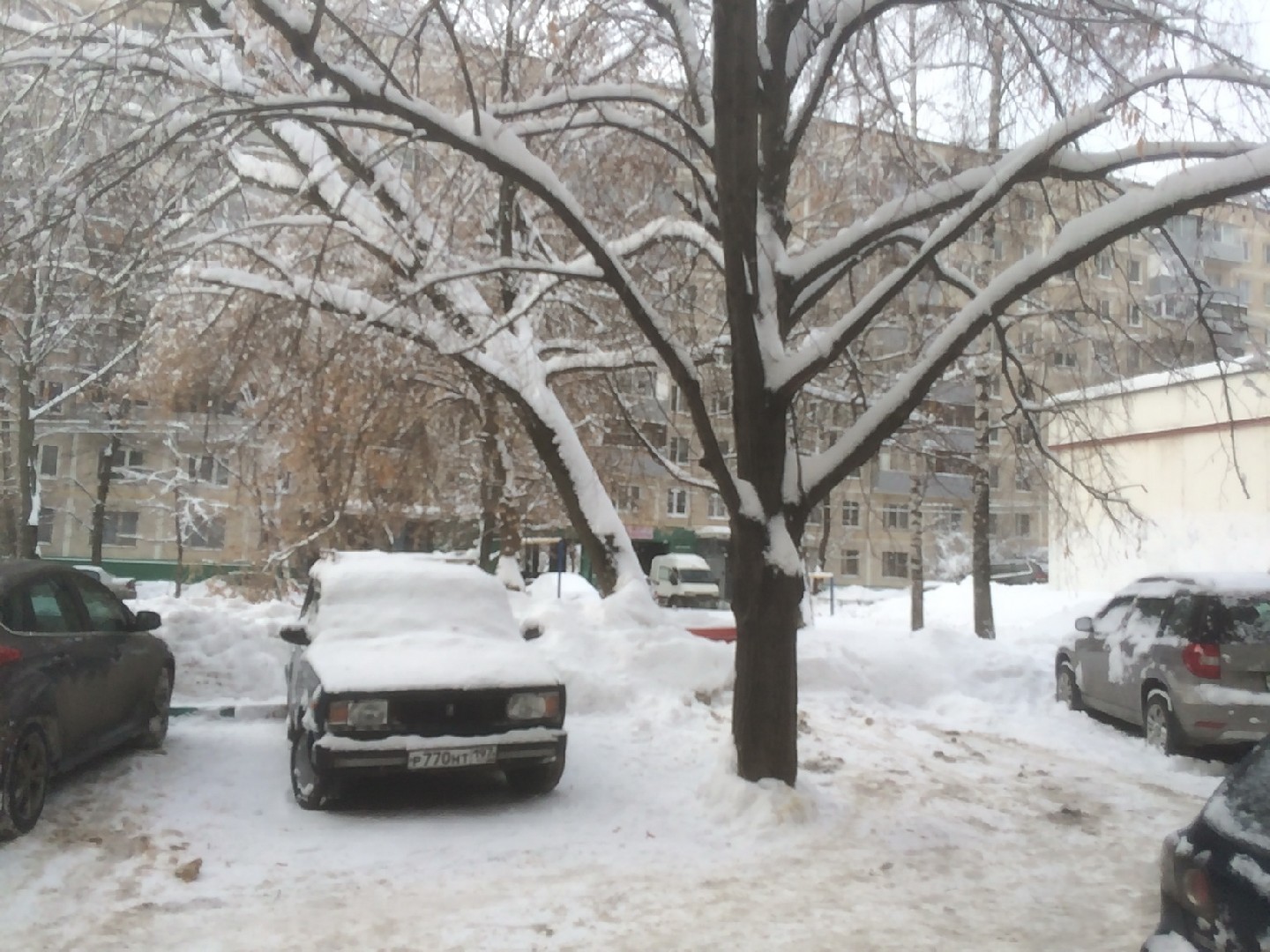 г. Москва, ул. Софьи Ковалевской, д. 10, к. 2-придомовая территория