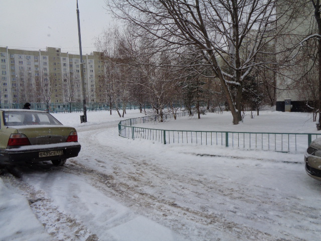 г. Москва, ул. Тарханская, д. 4, к. 2-придомовая территория