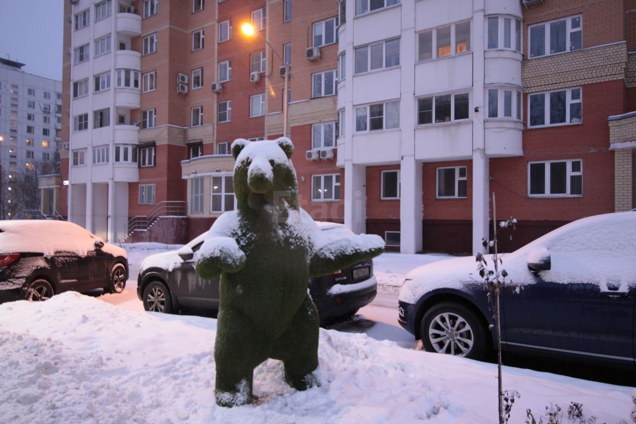 г. Москва, ул. Теплый Стан, д. 5, к. 4-придомовая территория