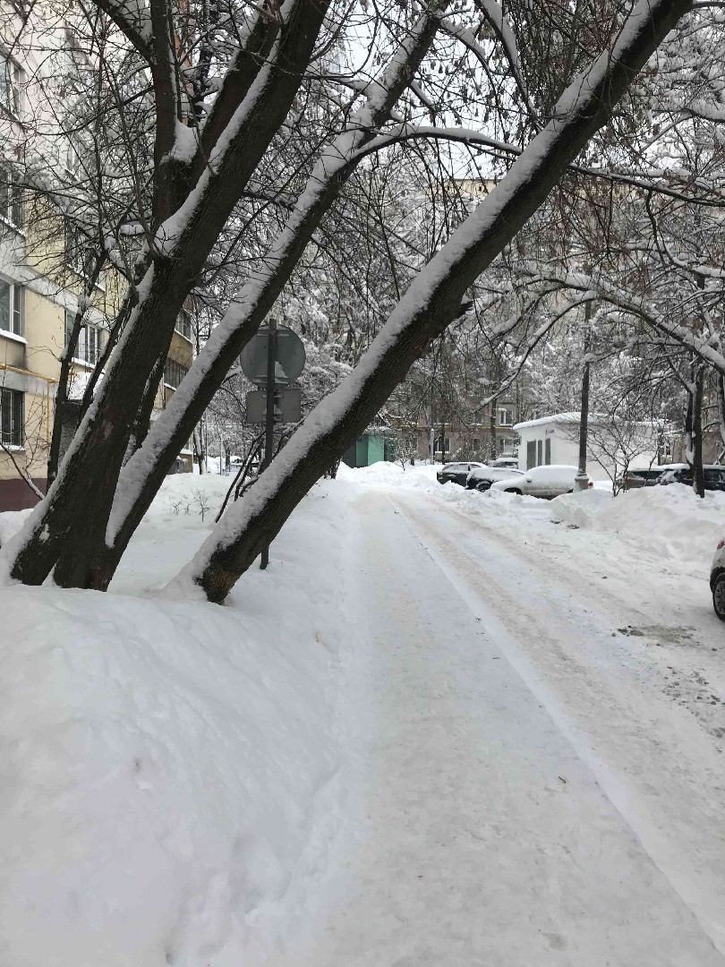 г. Москва, ул. Теплый Стан, д. 15, к. 7-придомовая территория