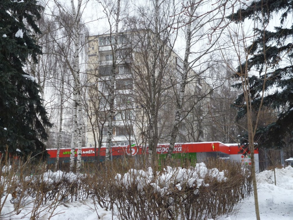 г. Москва, ул. Туристская, д. 8-фасад здания