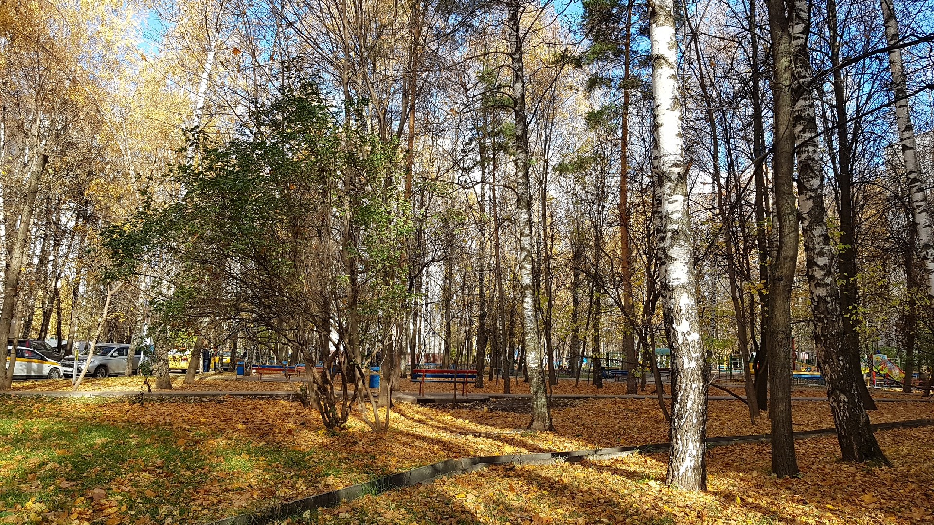 г. Москва, ул. Удальцова, д. 3, к. 11-придомовая территория