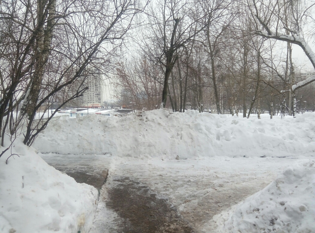 г. Москва, мкр. Чертаново Северное, д. 2, к. 204-придомовая территория