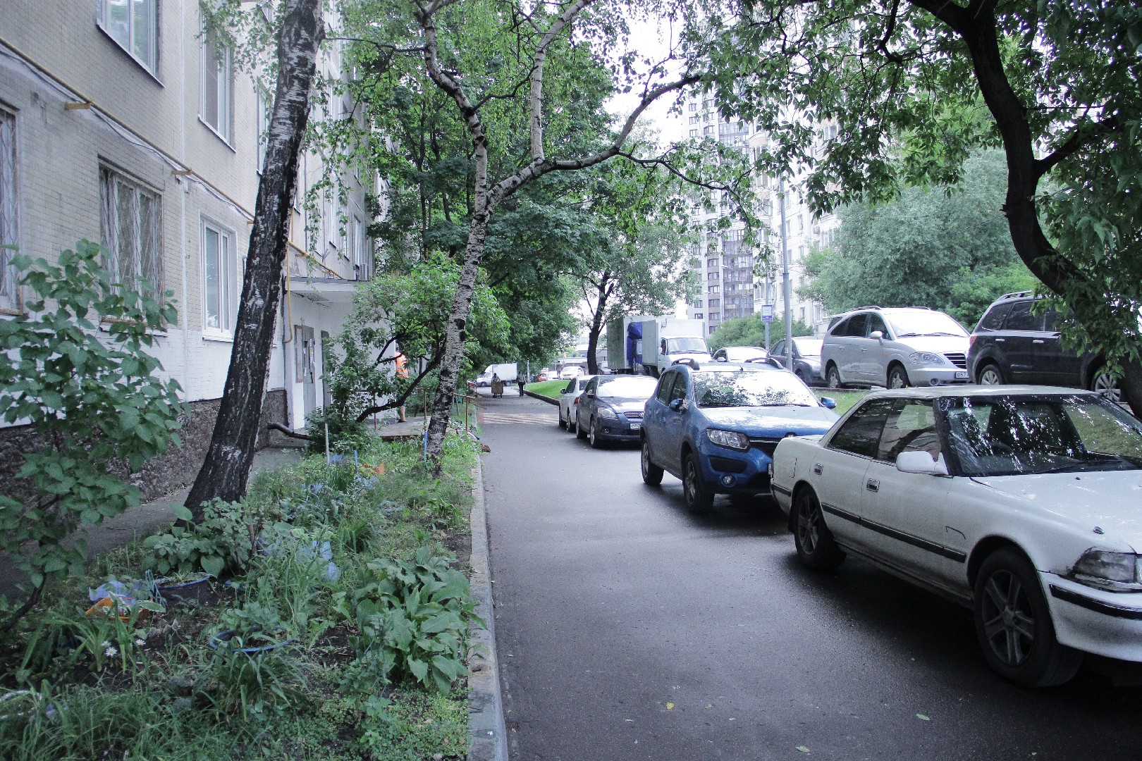 г. Москва, ул. Шереметьевская, д. 37-придомовая территория