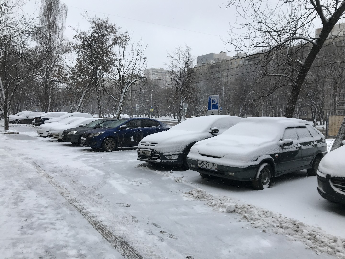 г. Москва, ул. Широкая, д. 24-придомовая территория