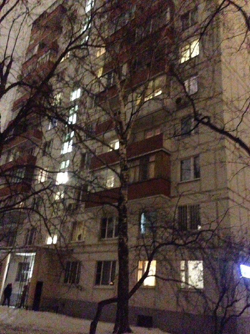 г. Москва, ш. Щелковское, д. 13, к. 1-фасад здания