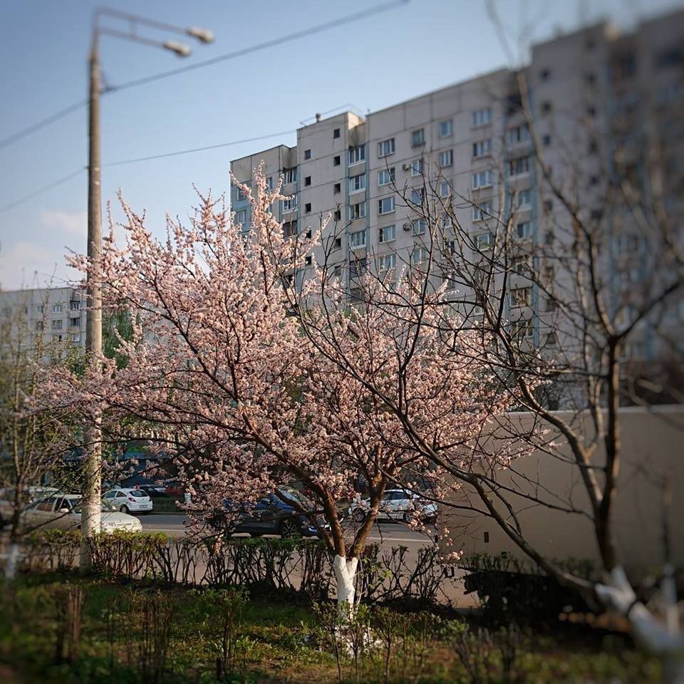 г. Москва, ул. Щербаковская, д. 55-фасад здания