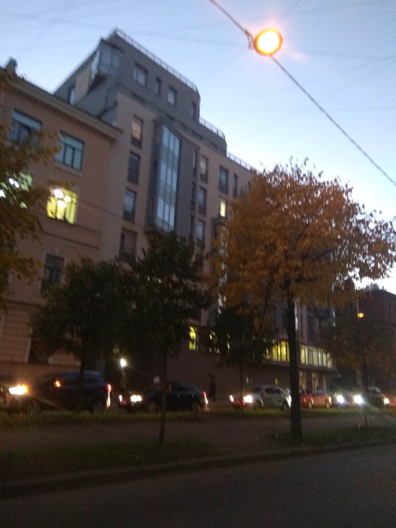 г. Санкт-Петербург, линия. 17-я В.О., д. 14-фасад здания