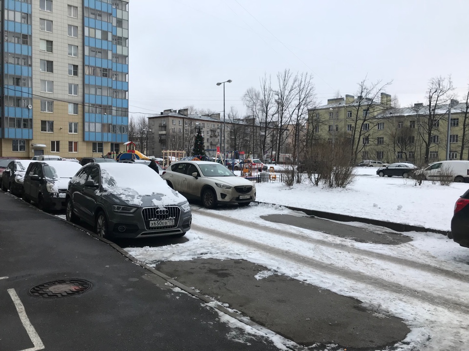 г. Санкт-Петербург, пер. 1-й Рабфаковский, д. 3-придомовая территория