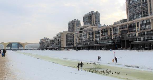 г. Санкт-Петербург, ул. Адмирала Трибуца, д. 5-придомовая территория