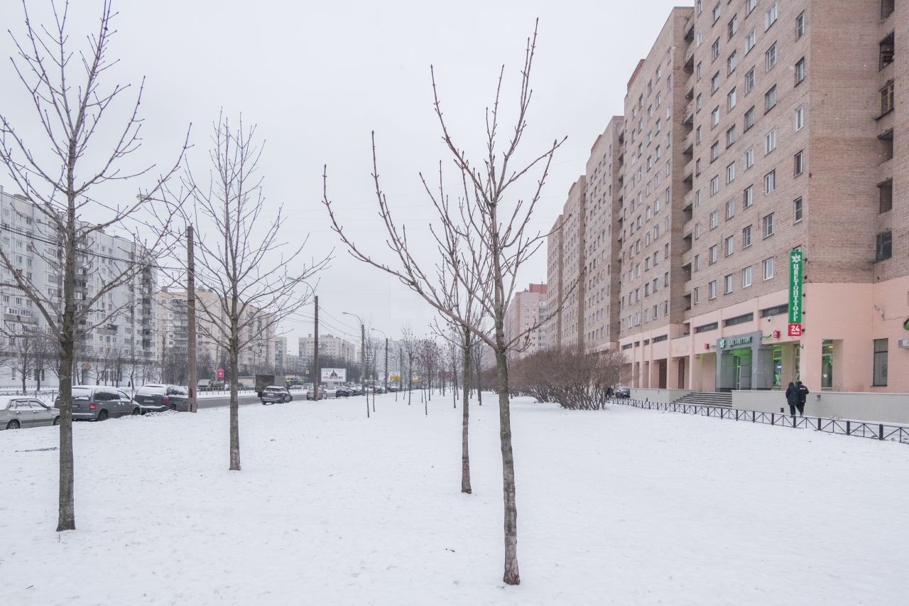 г. Санкт-Петербург, пр-кт. Богатырский, д. 10-придомовая территория