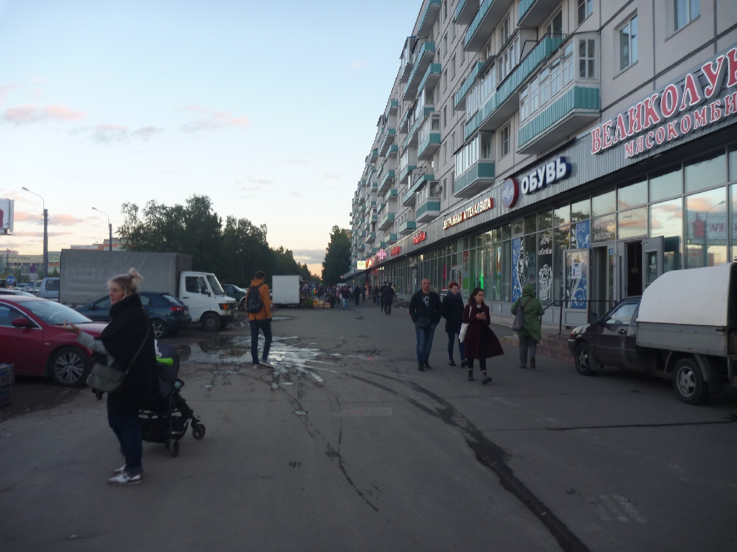 г. Санкт-Петербург, пр-кт. Большевиков, д. 21-придомовая территория