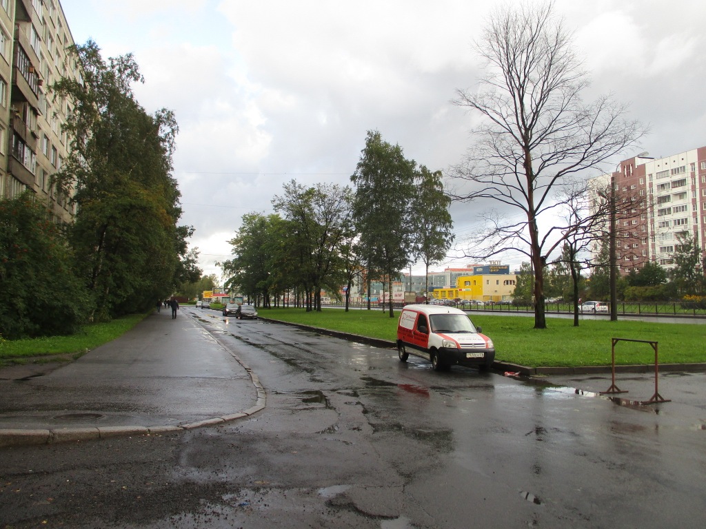 г. Санкт-Петербург, пр-кт. Большевиков, д. 33, к. 1-придомовая территория