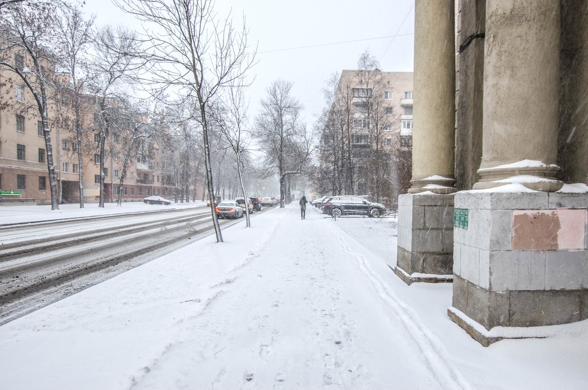 г. Санкт-Петербург, пр-кт. Большой Сампсониевский, д. 79, лит. А-придомовая территория