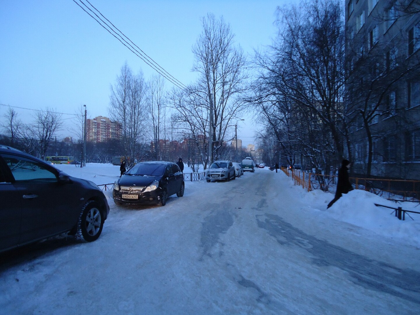 г. Санкт-Петербург, ул. Будапештская, д. 63, к. 1, лит. А-придомовая территория