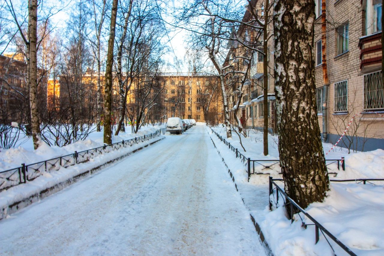 г. Санкт-Петербург, ул. Варшавская, д. 17, лит. А-придомовая территория