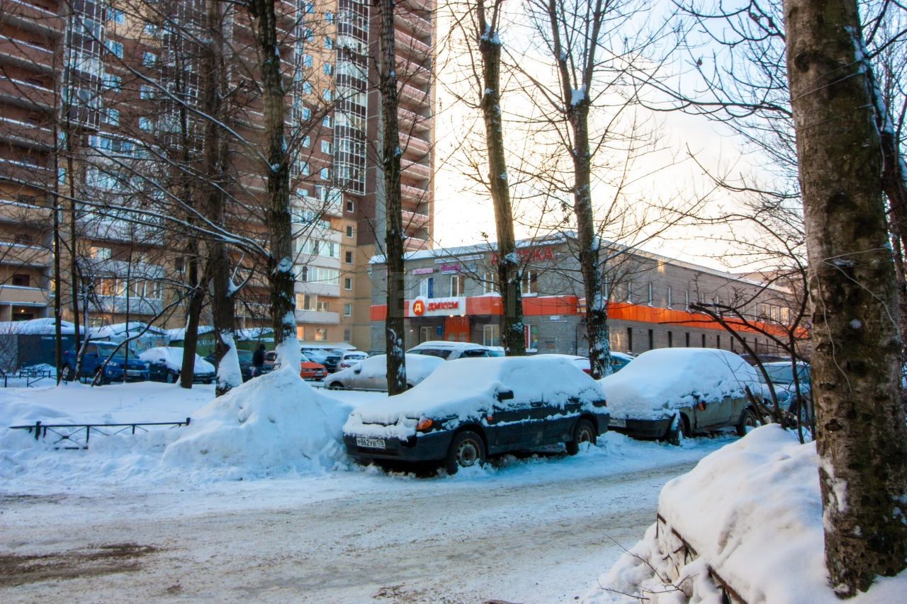 г. Санкт-Петербург, ул. Варшавская, д. 17, лит. А-придомовая территория