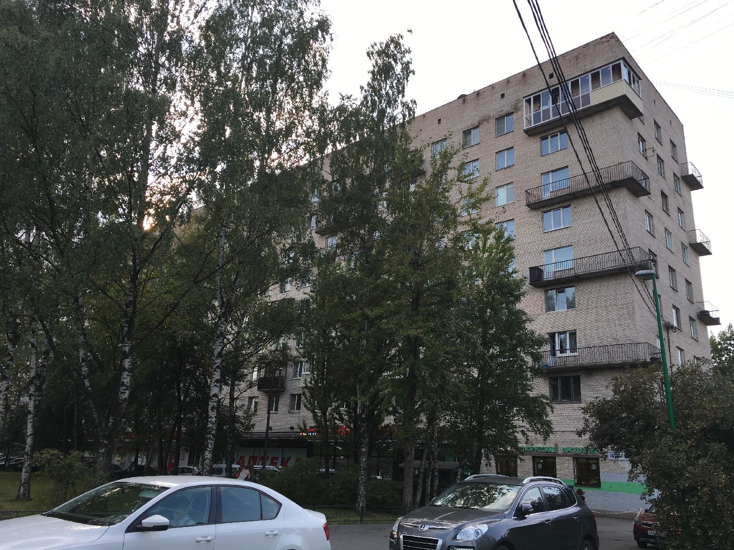 г. Санкт-Петербург, пр-кт. Ветеранов, д. 43, лит. А-фасад здания