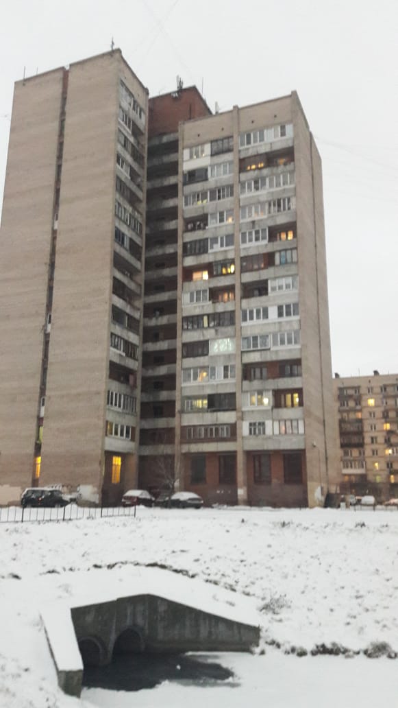 г. Санкт-Петербург, ул. Генерала Симоняка, д. 10-фасад здания