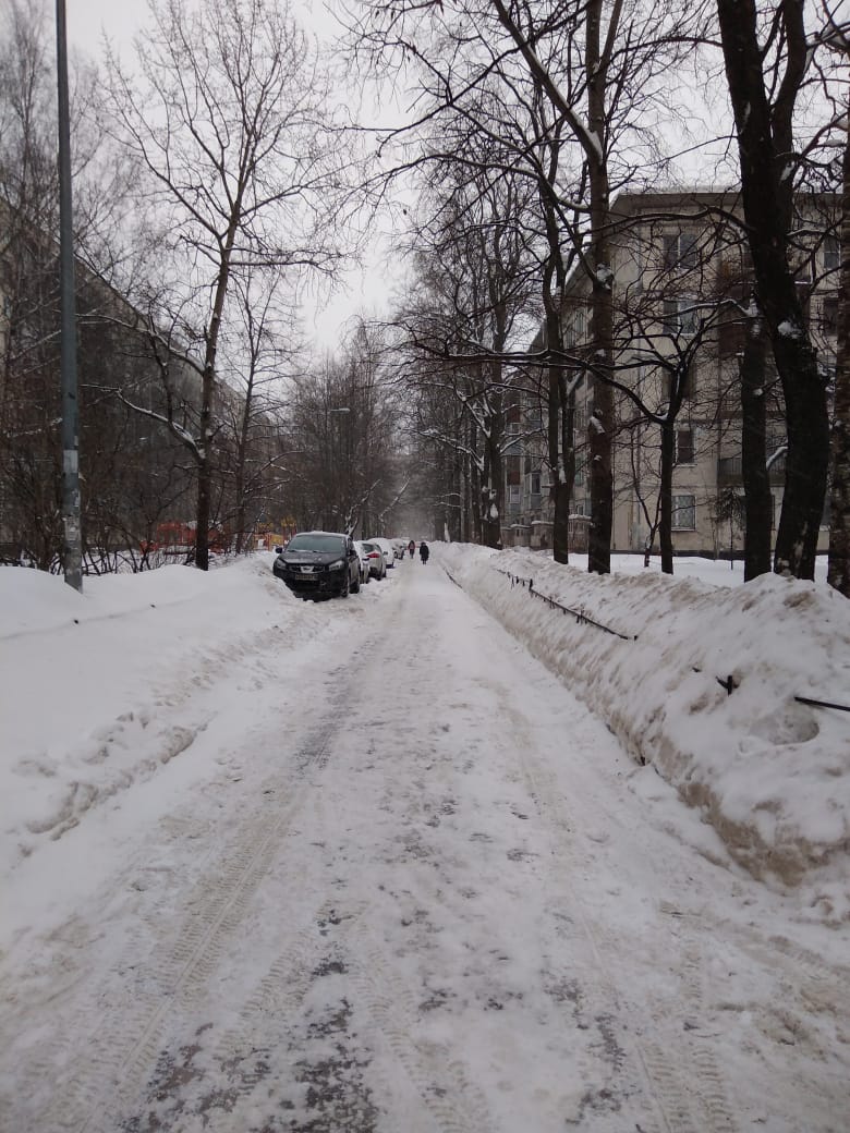 г. Санкт-Петербург, пр-кт. Гражданский, д. 77, к. 2-придомовая территория