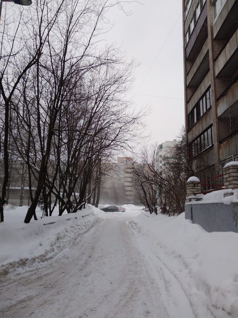 г. Санкт-Петербург, пр-кт. Гражданский, д. 77, к. 2-придомовая территория