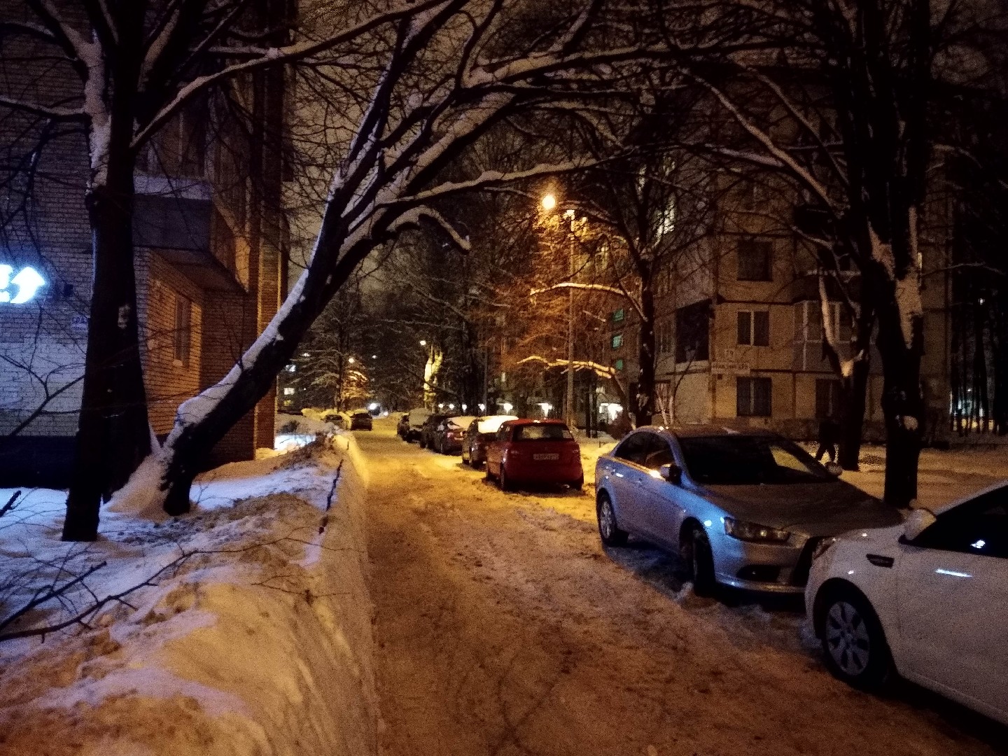 г. Санкт-Петербург, пр-кт. Гражданский, д. 81-придомовая территория