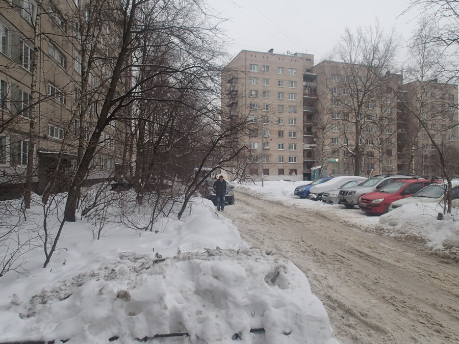 г. Санкт-Петербург, пр-кт. Дальневосточный, д. 30, к. 1-придомовая территория