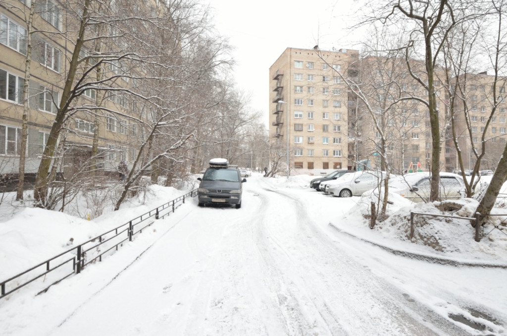 г. Санкт-Петербург, пр-кт. Дальневосточный, д. 30, к. 1-придомовая территория