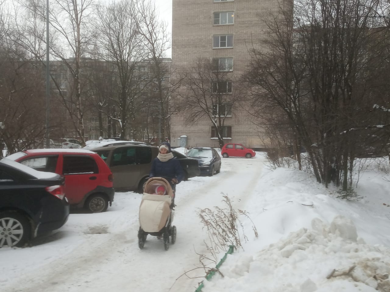 г. Санкт-Петербург, пр-кт. Дальневосточный, д. 36-придомовая территория