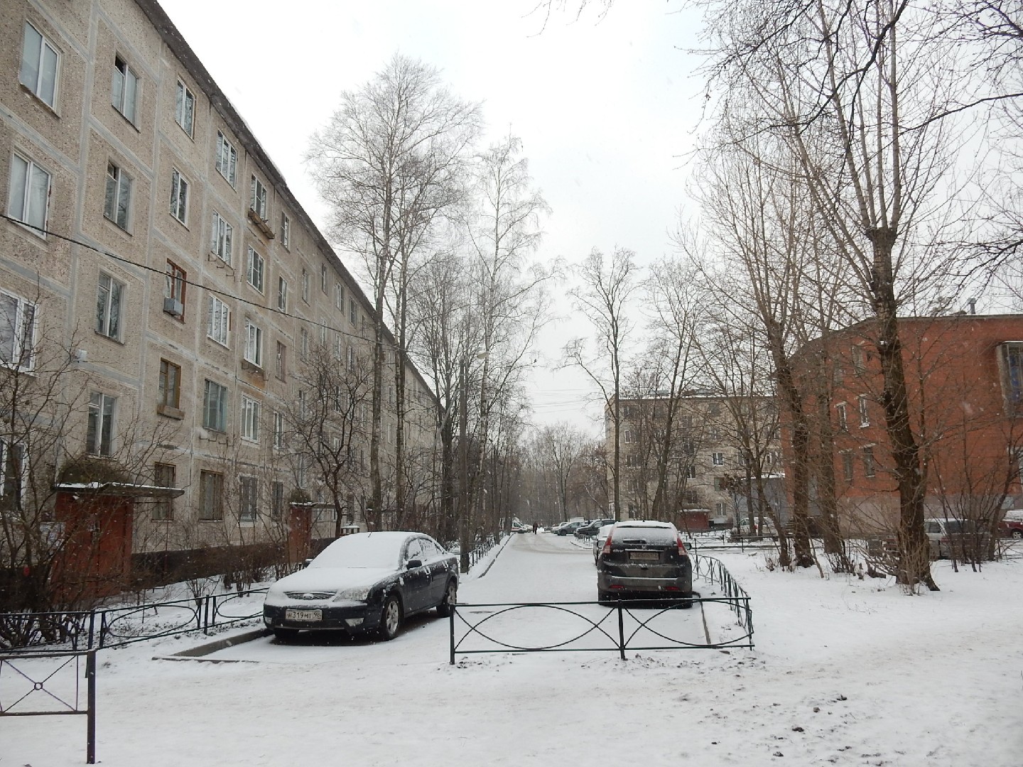 г. Санкт-Петербург, пр-кт. Дальневосточный, д. 64-придомовая территория