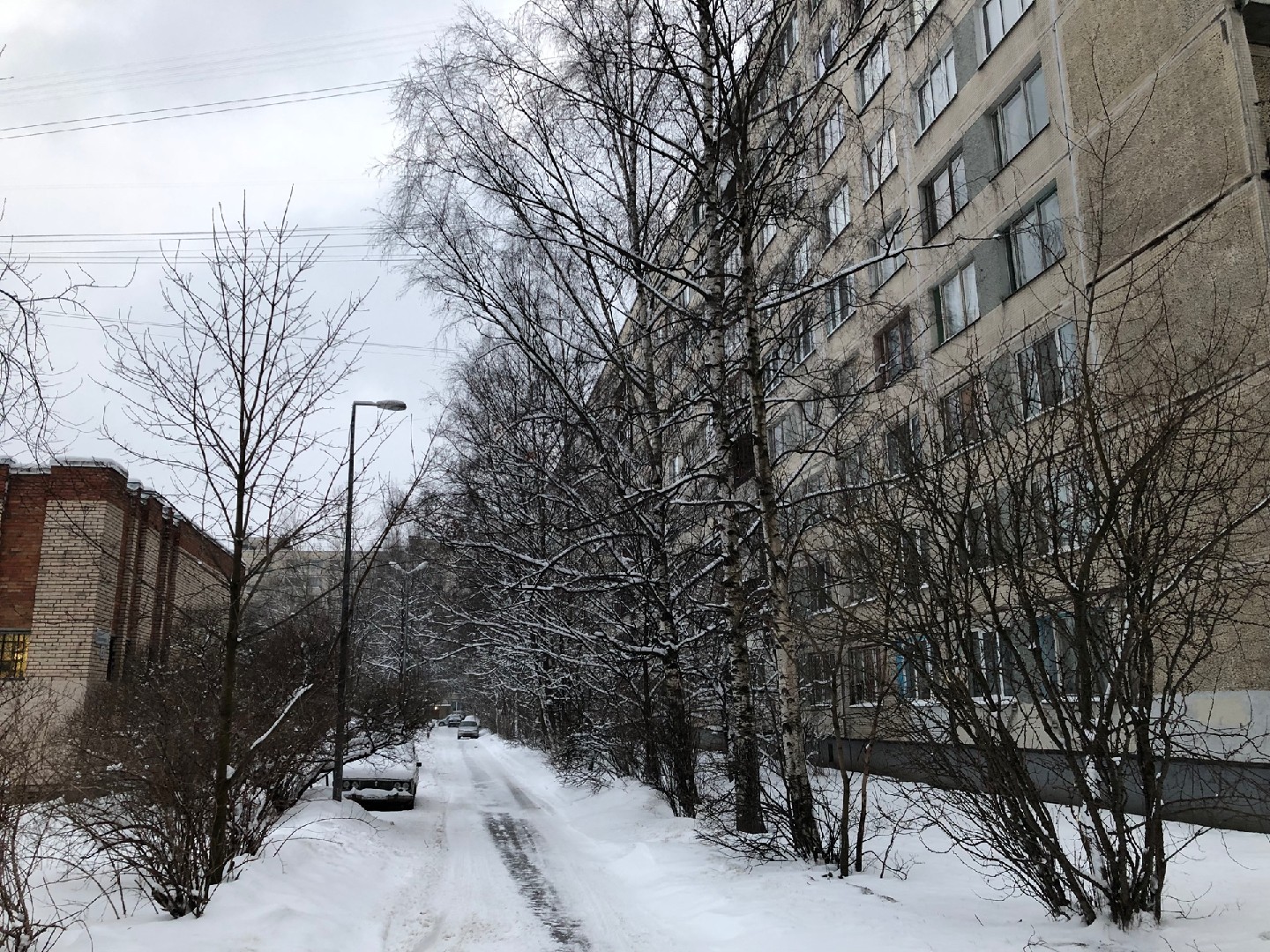 г. Санкт-Петербург, ул. Димитрова, д. 7, к. 1-придомовая территория