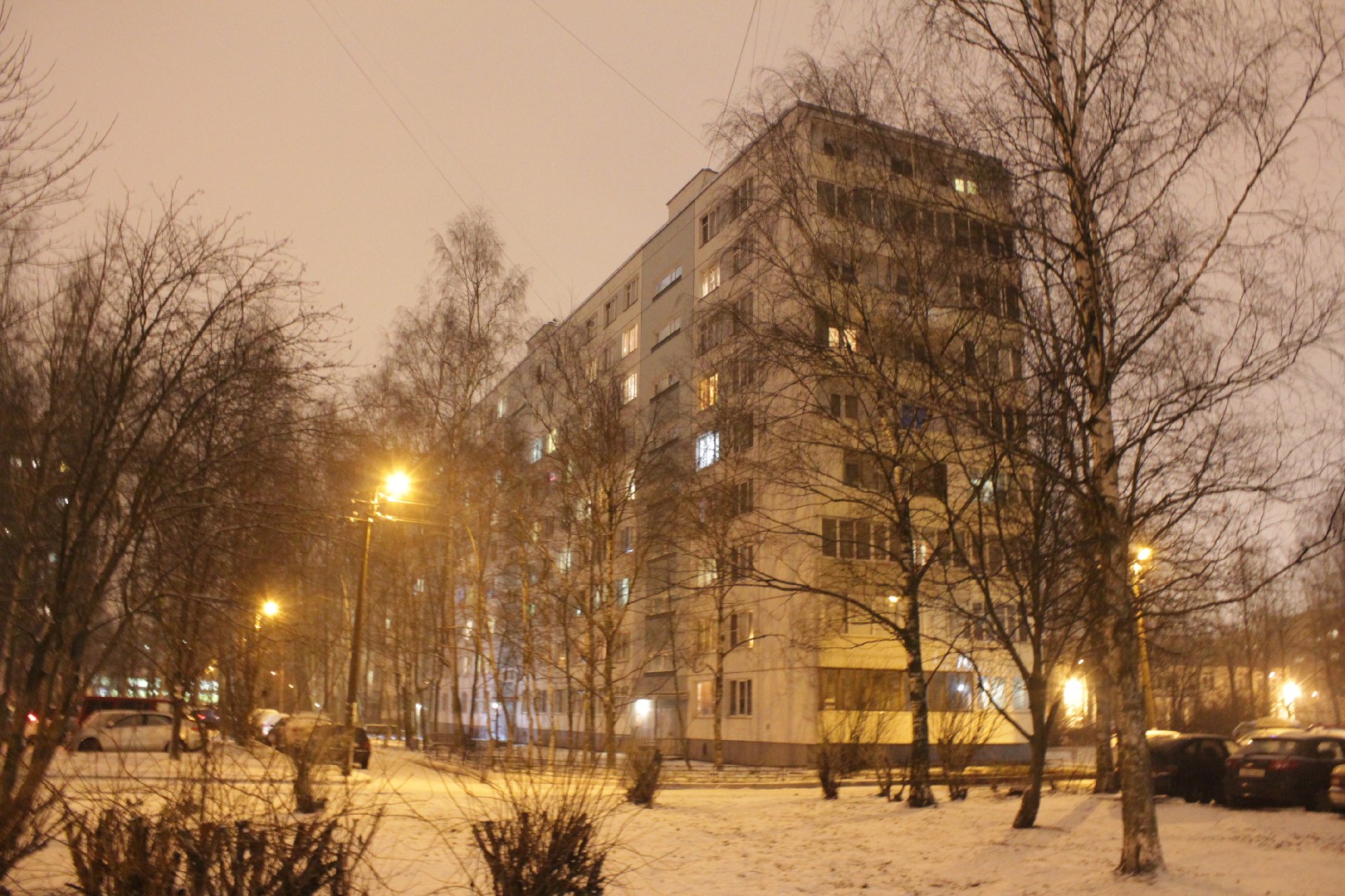 г. Санкт-Петербург, ул. Дыбенко, д. 25, к. 3-придомовая территория